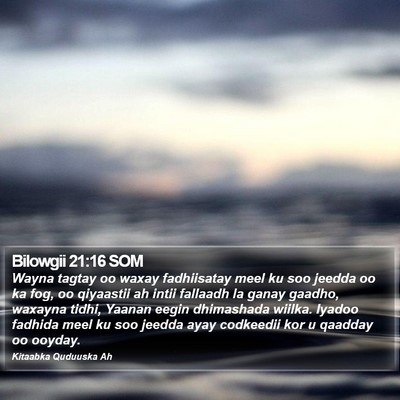 Bilowgii 21:16 SOM Bible Verse Image