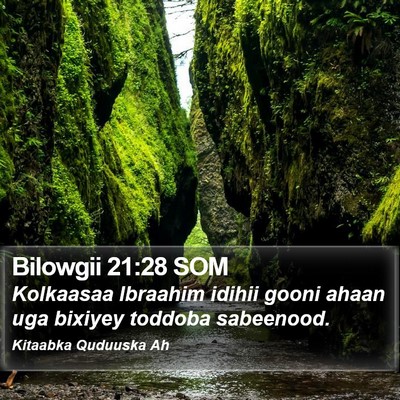 Bilowgii 21:28 SOM Bible Verse Image