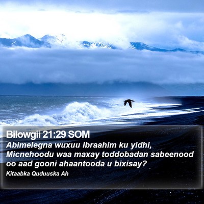 Bilowgii 21:29 SOM Bible Verse Image