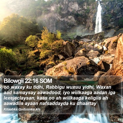 Bilowgii 22:16 SOM Bible Verse Image