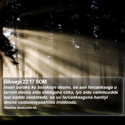 Bilowgii 22:17 SOM Bible Verse Image