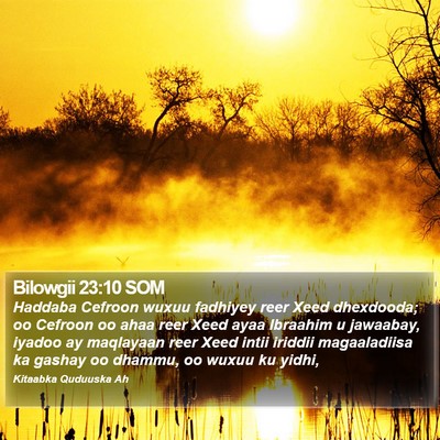 Bilowgii 23:10 SOM Bible Verse Image