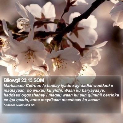 Bilowgii 23:13 SOM Bible Verse Image