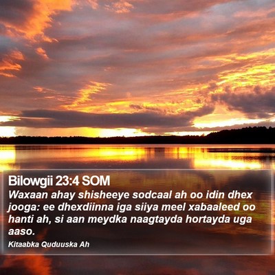Bilowgii 23:4 SOM Bible Verse Image