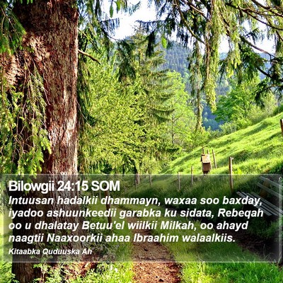 Bilowgii 24:15 SOM Bible Verse Image