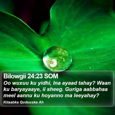 Bilowgii 24:23 SOM Bible Verse Image