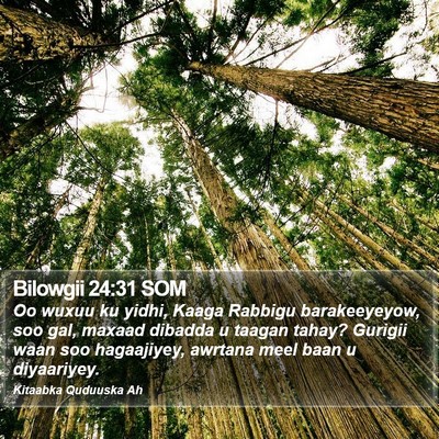 Bilowgii 24:31 SOM Bible Verse Image