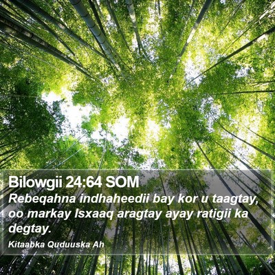 Bilowgii 24:64 SOM Bible Verse Image