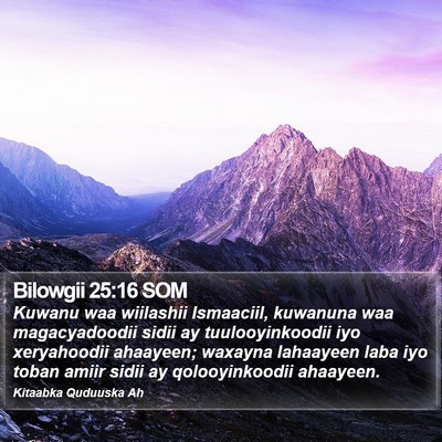 Bilowgii 25:16 SOM Bible Verse Image