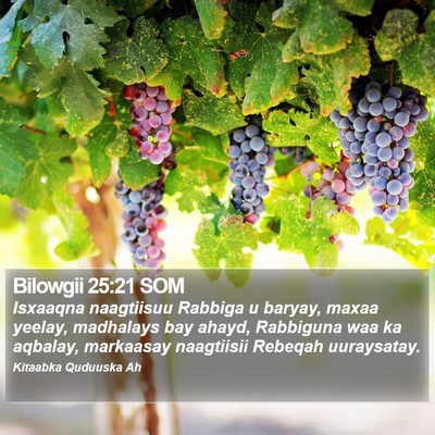 Bilowgii 25:21 SOM Bible Verse Image