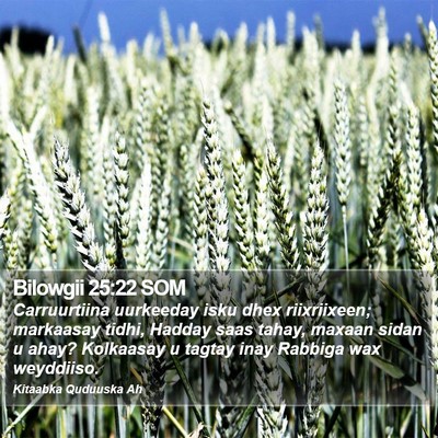 Bilowgii 25:22 SOM Bible Verse Image