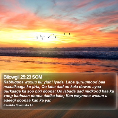 Bilowgii 25:23 SOM Bible Verse Image