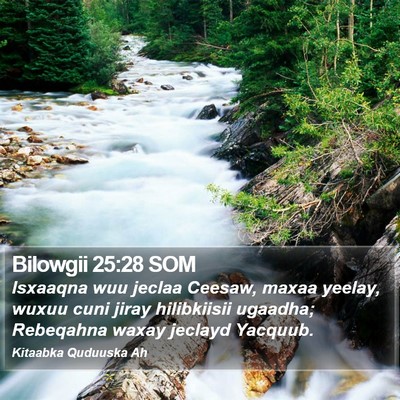 Bilowgii 25:28 SOM Bible Verse Image