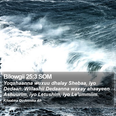 Bilowgii 25:3 SOM Bible Verse Image