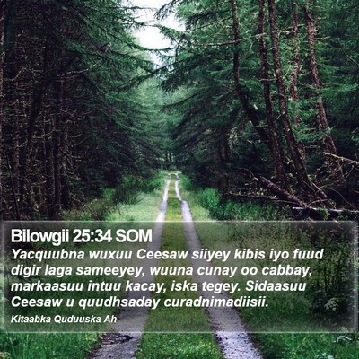 Bilowgii 25:34 SOM Bible Verse Image