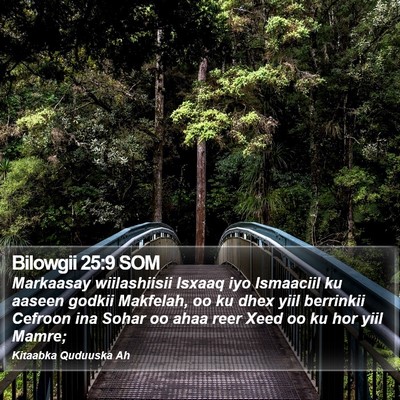 Bilowgii 25:9 SOM Bible Verse Image