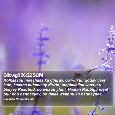 Bilowgii 26:22 SOM Bible Verse Image