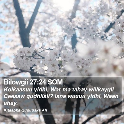 Bilowgii 27:24 SOM Bible Verse Image