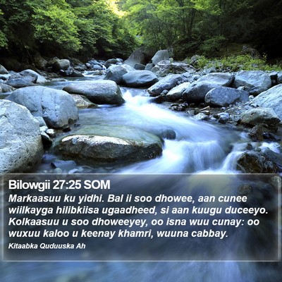 Bilowgii 27:25 SOM Bible Verse Image
