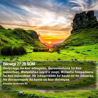 Bilowgii 27:29 SOM Bible Verse Image