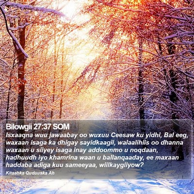 Bilowgii 27:37 SOM Bible Verse Image