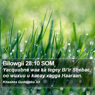 Bilowgii 28:10 SOM Bible Verse Image