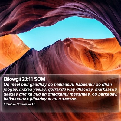 Bilowgii 28:11 SOM Bible Verse Image