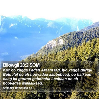 Bilowgii 28:2 SOM Bible Verse Image