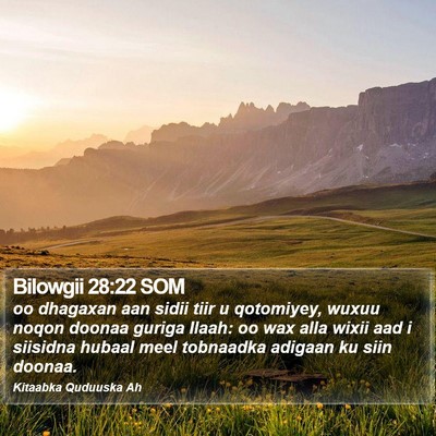 Bilowgii 28:22 SOM Bible Verse Image