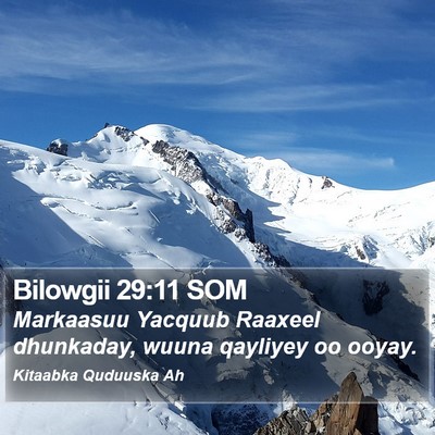 Bilowgii 29:11 SOM Bible Verse Image