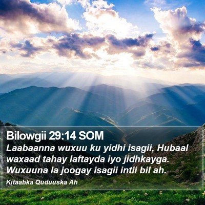 Bilowgii 29:14 SOM Bible Verse Image