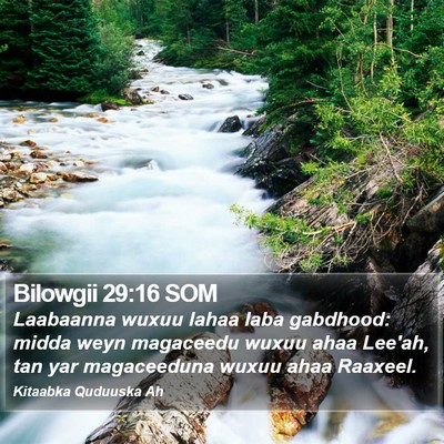 Bilowgii 29:16 SOM Bible Verse Image
