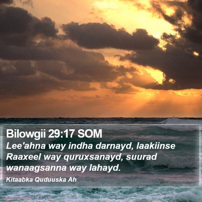 Bilowgii 29:17 SOM Bible Verse Image