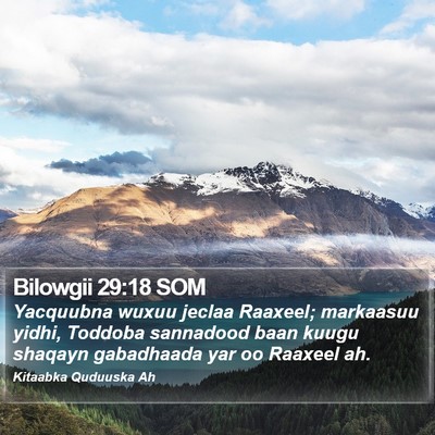 Bilowgii 29:18 SOM Bible Verse Image