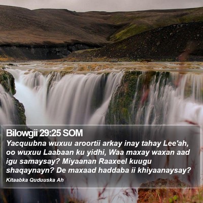 Bilowgii 29:25 SOM Bible Verse Image