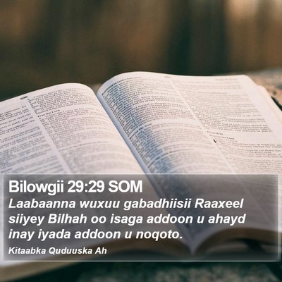 Bilowgii 29:29 SOM Bible Verse Image