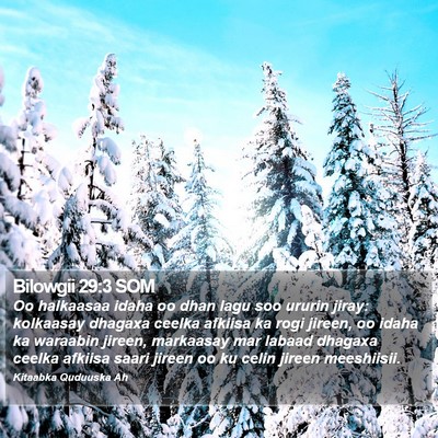 Bilowgii 29:3 SOM Bible Verse Image
