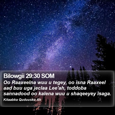 Bilowgii 29:30 SOM Bible Verse Image
