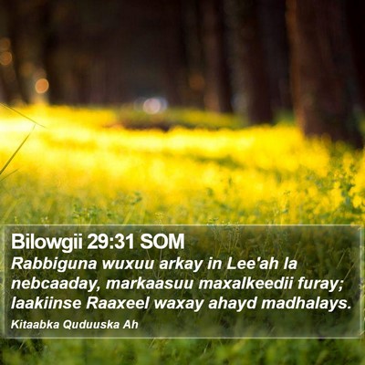 Bilowgii 29:31 SOM Bible Verse Image