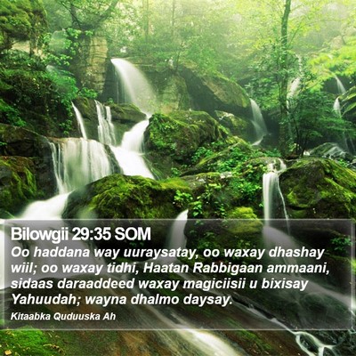 Bilowgii 29:35 SOM Bible Verse Image
