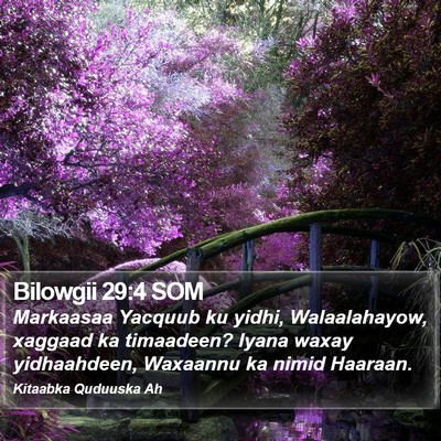 Bilowgii 29:4 SOM Bible Verse Image