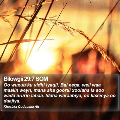 Bilowgii 29:7 SOM Bible Verse Image
