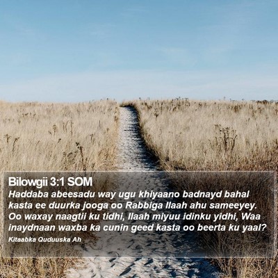Bilowgii 3:1 SOM Bible Verse Image