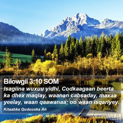 Bilowgii 3:10 SOM Bible Verse Image