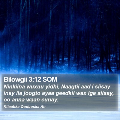 Bilowgii 3:12 SOM Bible Verse Image