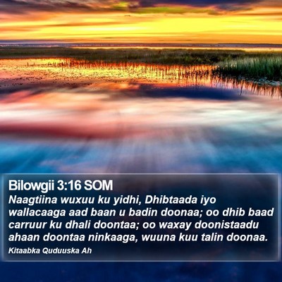 Bilowgii 3:16 SOM Bible Verse Image