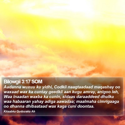 Bilowgii 3:17 SOM Bible Verse Image