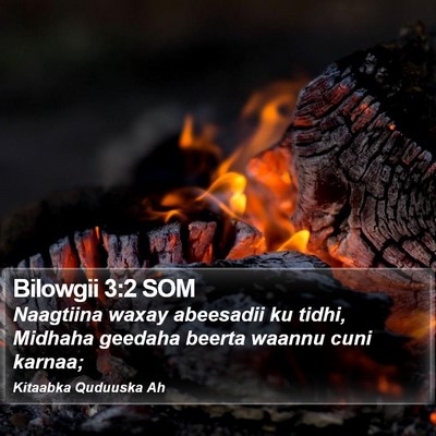 Bilowgii 3:2 SOM Bible Verse Image