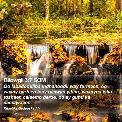 Bilowgii 3:7 SOM Bible Verse Image