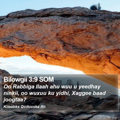 Bilowgii 3:9 SOM Bible Verse Image